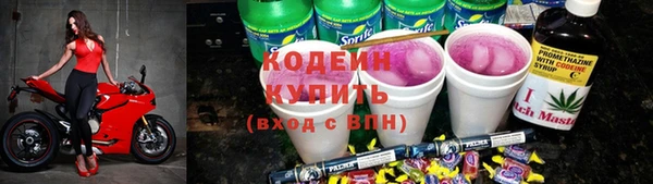 хмурый Нея