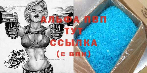 хмурый Нея