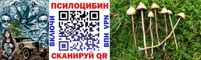 Псилоцибиновые грибы GOLDEN TEACHER  хочу наркоту  МЕГА вход  Новотроицк 